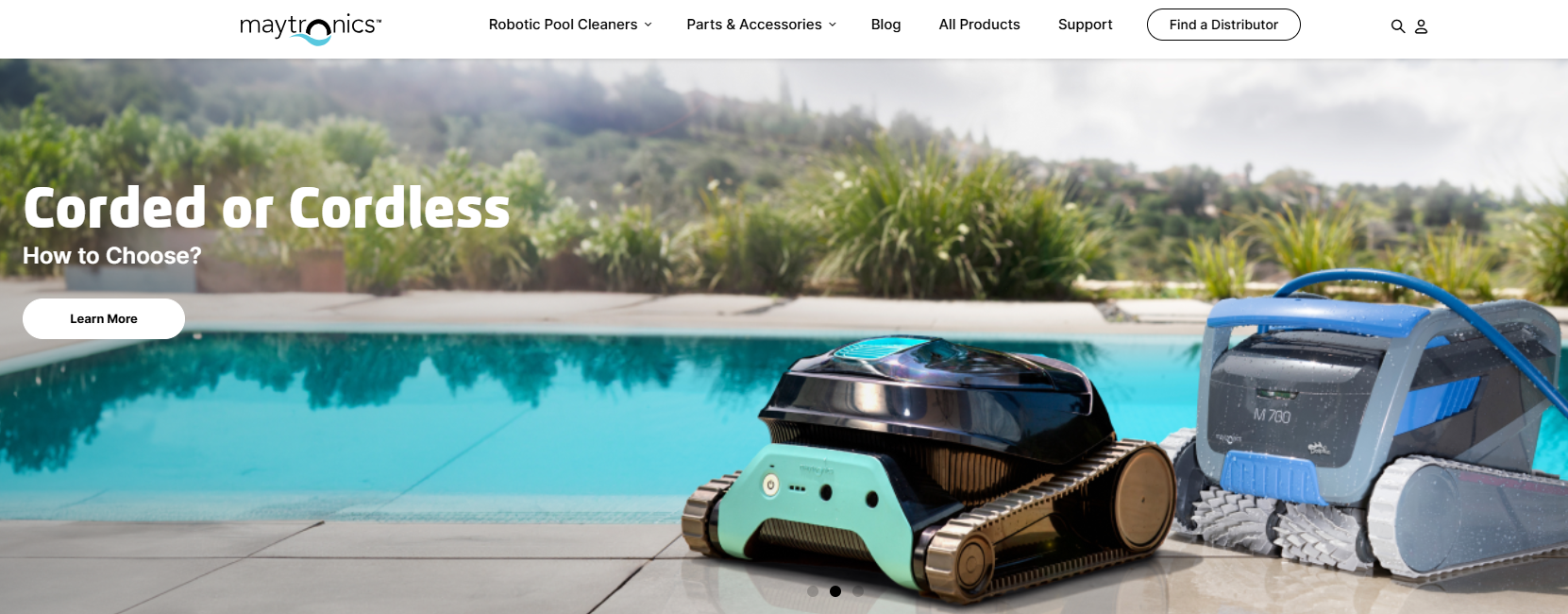 Дельфин (Maytronics)